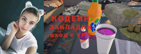 крисы Покачи
