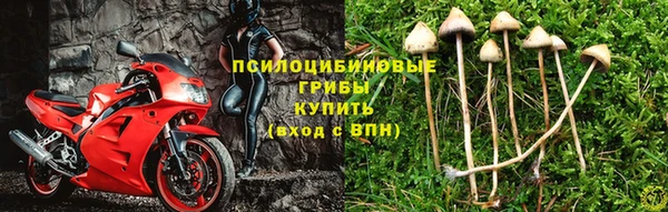 мяу мяу мука Покров