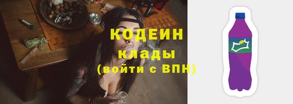 крисы Покачи