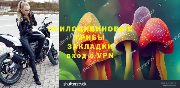 сатива Покровск
