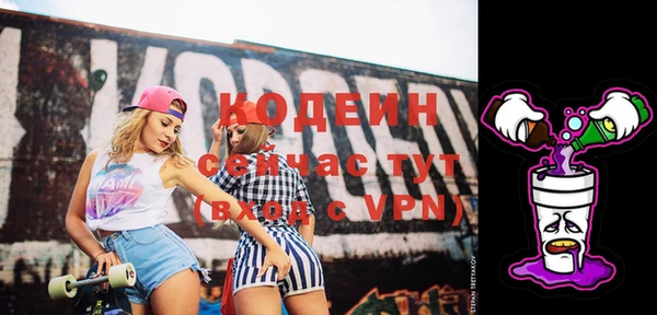 крисы Покачи