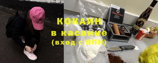 крисы Покачи